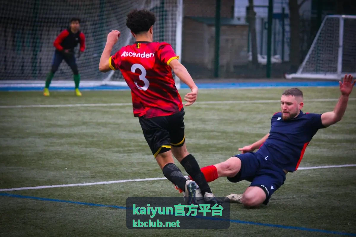 kaiyun官方平台异地登录提示后的核对顺序示意