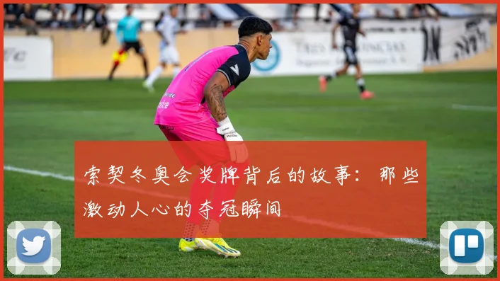 索契冬奥会奖牌背后的故事：那些激动人心的夺冠瞬间