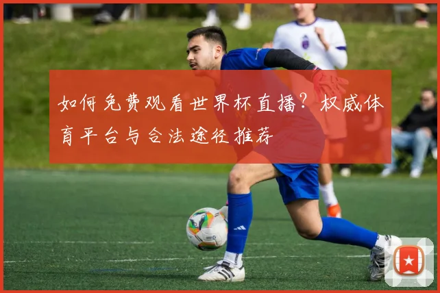 如何免费观看世界杯直播？权威体育平台与合法途径推荐