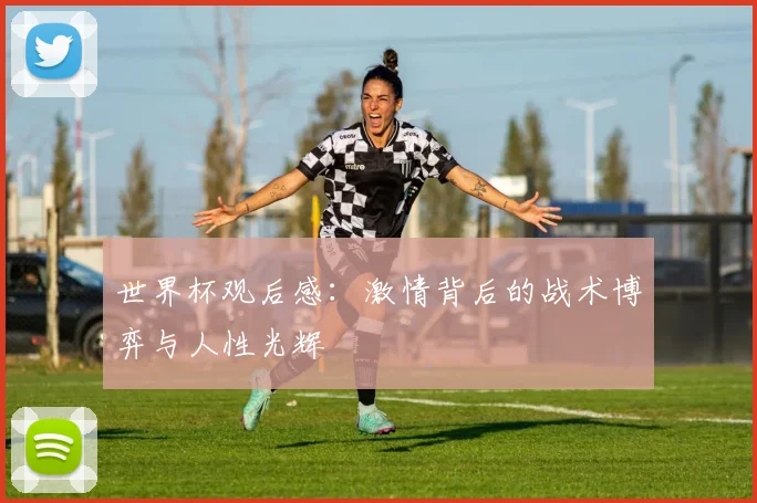 世界杯观后感：激情背后的战术博弈与人性光辉