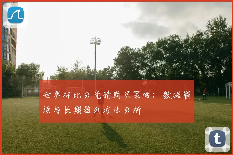 世界杯比分竞猜购买策略：数据解读与长期盈利方法分析