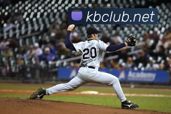 beat365最新官网地址平台生态图